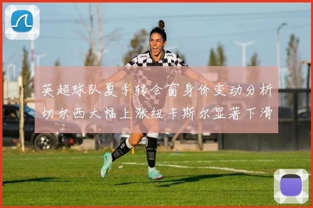 英超球队夏季转会窗身价变动分析切尔西大幅上涨纽卡斯尔显著下滑
