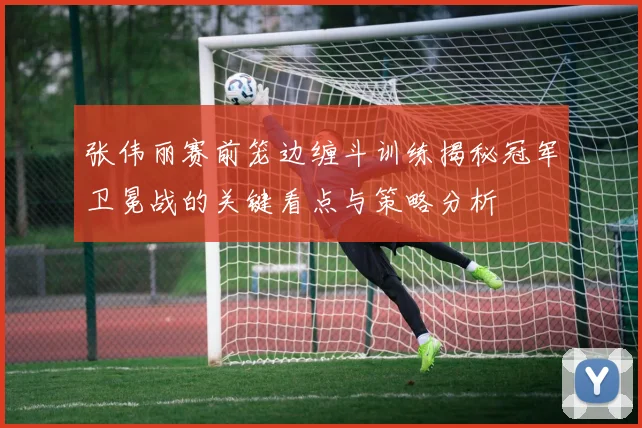 张伟丽赛前笼边缠斗训练揭秘冠军卫冕战的关键看点与策略分析