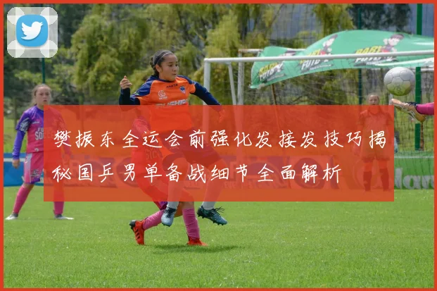樊振东全运会前强化发接发技巧揭秘国乒男单备战细节全面解析
